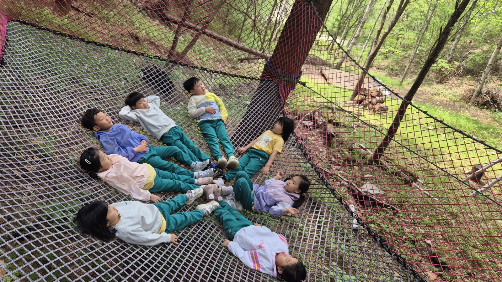 5월 복주산 유아 숲 체험 사진