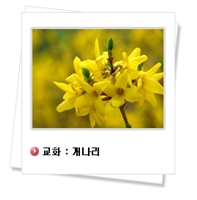 교화.jpg
